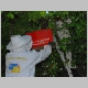 intervention pompiers pompier cp40 essain abeille abeilles essains arbre
