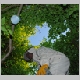 intervention pompiers pompier cp40 essain abeille abeilles essains arbre