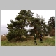 intervention pompiers pompier cp40 insectes chenille destruction