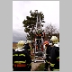 intervention pompiers pompier cp40 insectes chenille destruction