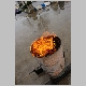 intervention pompiers pompier cp40 insectes chenille destruction