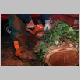 intervention pompiers pompier cp40 arbre chute tron&ccedil;onneuse tomb&eacute;