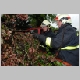 intervention pompiers pompier cp40 arbre chute tron&ccedil;onneuse tomb&eacute;