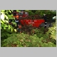 intervention pompiers pompier cp40 arbre chute tron&ccedil;onneuse tomb&eacute;