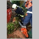 intervention pompiers pompier cp40 arbre chute tron&ccedil;onneuse tomb&eacute;