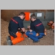 Click to enlarge exercice tronconnage arbre pompiers genève cp40